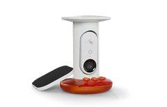 Smart Hummingbird Feeder Pro Solar