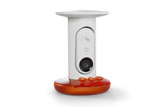 Smart Hummingbird Feeder Pro