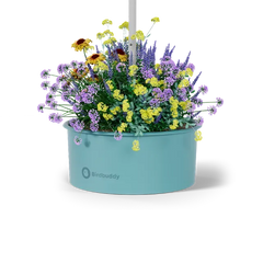 Pollinator Pot
