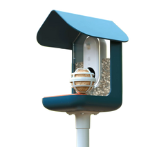 Suet Ball Holder