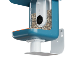 Wall Mount