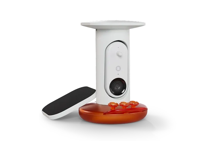 Smart Hummingbird Feeder Pro Solar