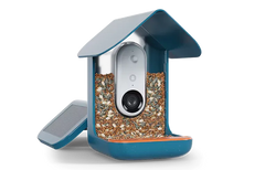 Birdbuddy Pro Solar